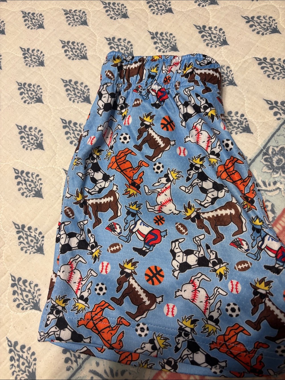 GOAT USA Light GOAT & Sports Print Pull-On Shorts - Picture 6 of 6